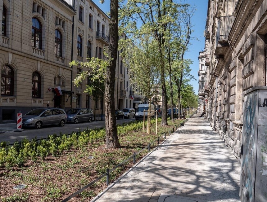 fot. Stefan Brajter / UMŁ