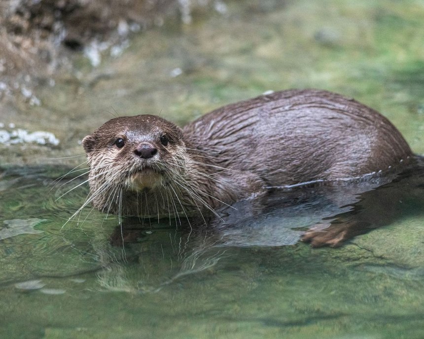 fot. Łódź.pl / Paweł Łacheta