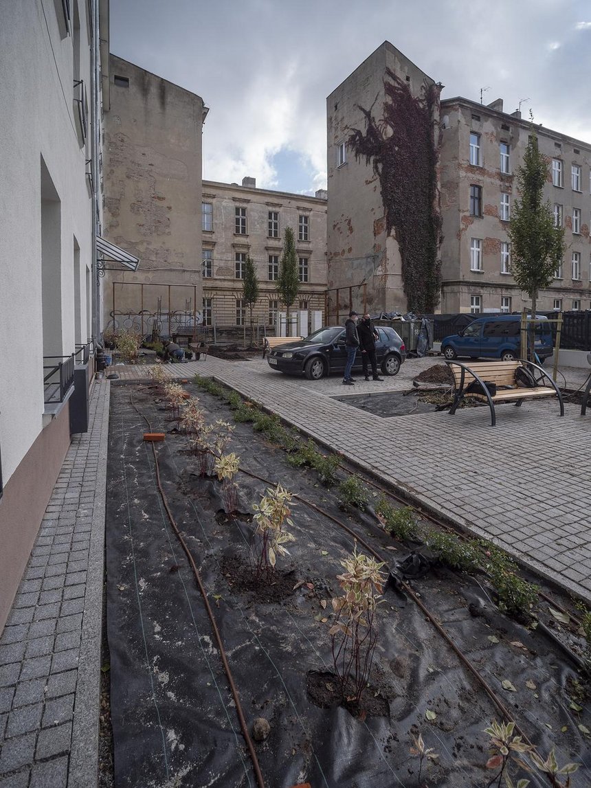 fot. Stefan Brajter / UMŁ