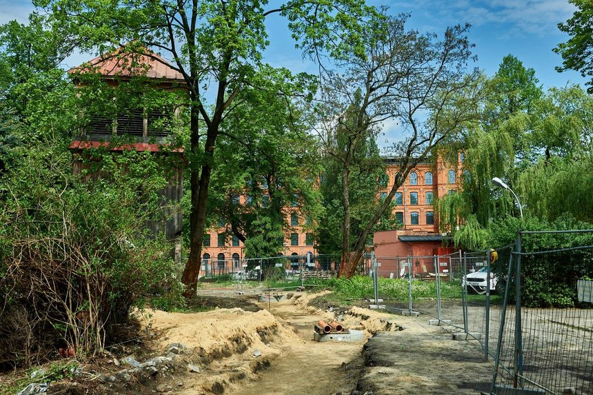 fot. Radosław Jóźwiak / UMŁ