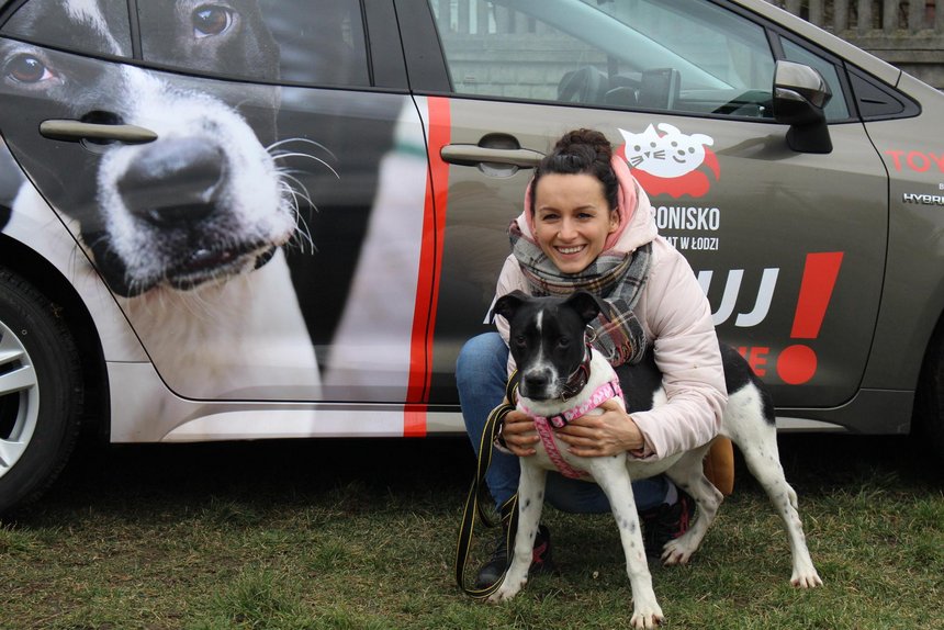 mat. Schronisko dla zwierzat