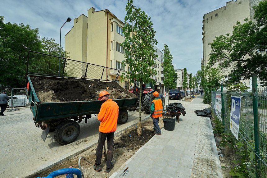 Fot. Radosław Jóźwiak/UMŁ