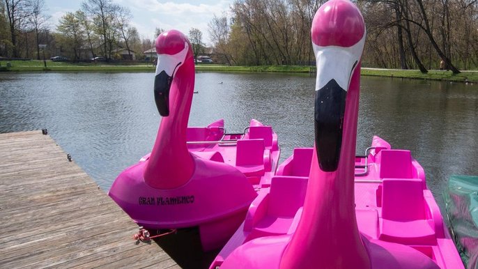 Flamingi - 4–osobowe rowery wodne - fot. Stefan Brajter / UMŁ