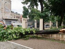 fot. Radosław Jóźwiak / UMŁ