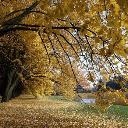 Widok z Alei Lipowej, K. Biadasiewicz