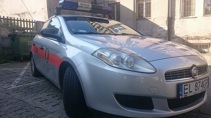 Strażnicy interweniowali 