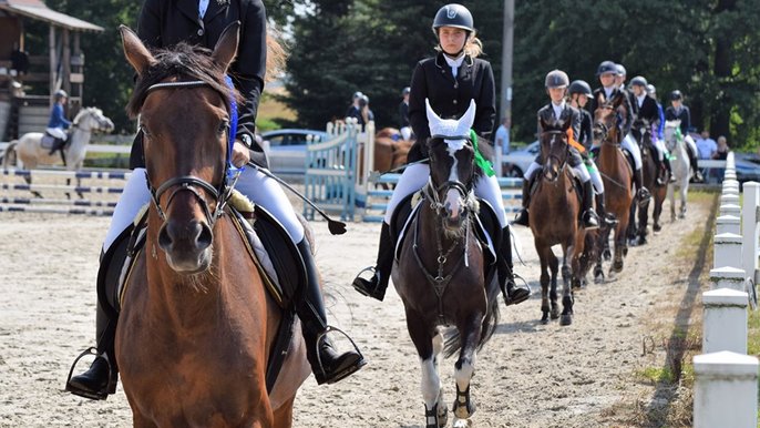  - Okręgowy Związek Jeździecki w Łodzi