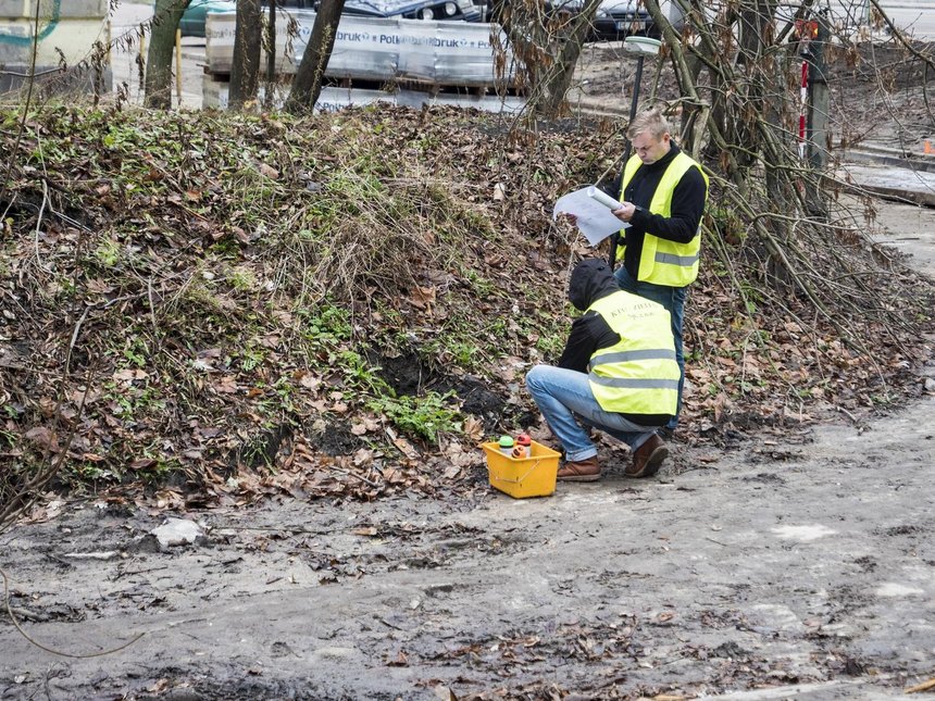 Fot. Stefan Brajter / UMŁ