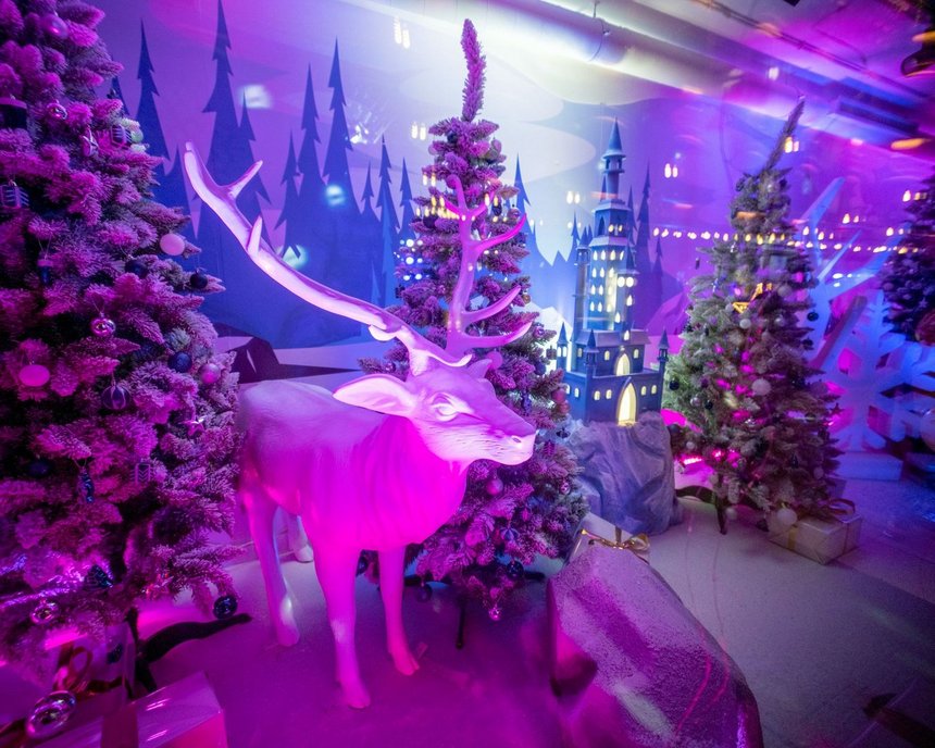 fot. Paweł Łacheta