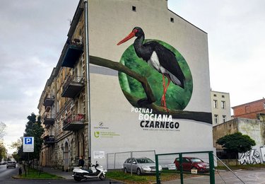 fot. Paweł Łacheta