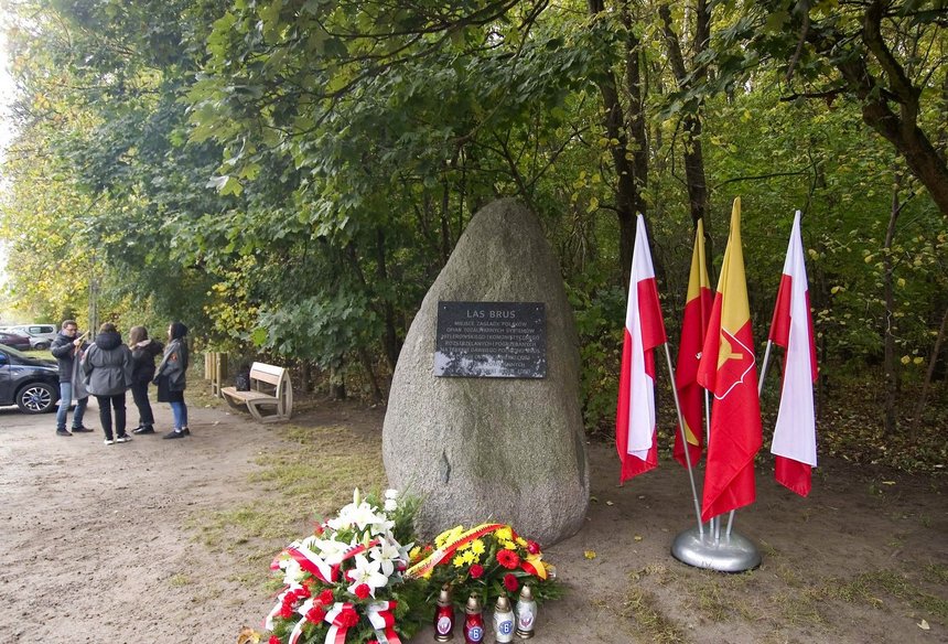 Fot. Andrzej Janecki/UMŁ