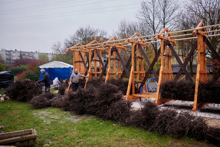 fot. Sebastian Glapiński / UMŁ