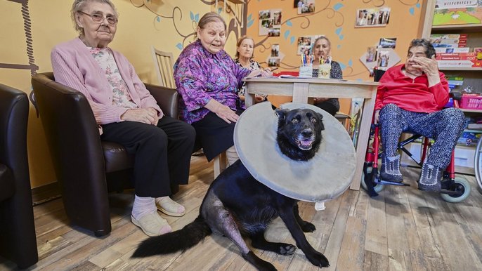 Luna mieszka w Domu Pomocy Społecznej „Dom Kombatanta" w Łodzi - fot. ŁÓDŹ.PL