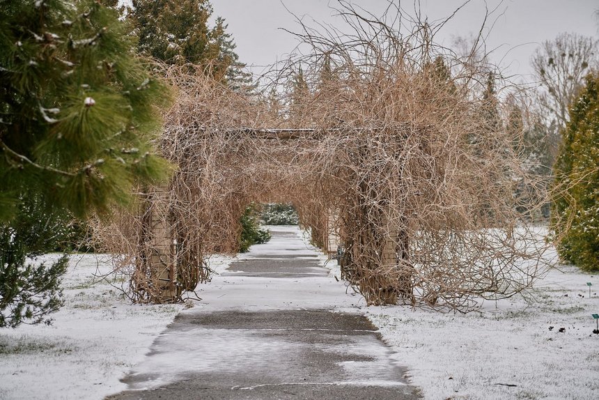fot. Radosław Jóźwiak