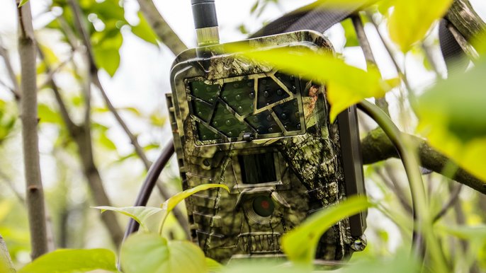 Fotopułapka będzie rejestrowała sprawców zaśmiecania - fot. Sebastian Glapiński / UMŁ