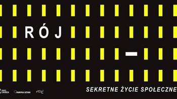 Grafika promująca wydarzenie: RPS: Spektakl "Rój. Sekretne życie społeczne" w teatrze CHOREA -  mat. pras. organizatora 