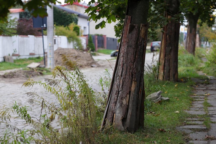 fot. Konrad Ciężki / UMŁ