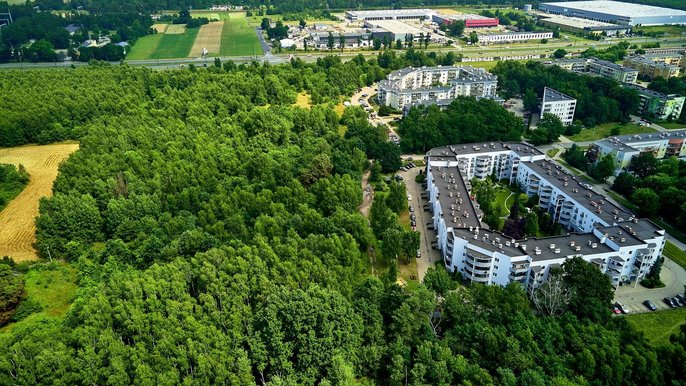 Park na Janowie powstanie na 60 hektarach terenu między ul. Rokicińską, Maćka z Bogdańca, Przybyszewskiego i szklarniami przy ul. Augustów. - fot. Radosław Jóźwiak