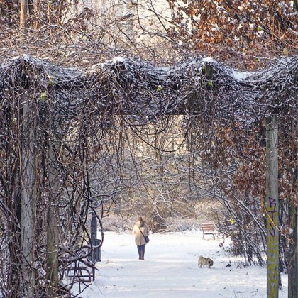 Zimowa Łódź, fot. ŁÓDŹ.PL