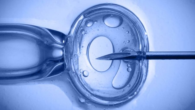 Zdjęcie promujące wydarzenie: „Życie kontra życie”. In vitro i ciąża zagrożona w kinie polskim - wykład w MS2 - fot. mat. Muzeum Sztuki w Łodzi