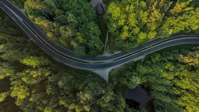 Strażnicy intensywniej patrolują m.in. obszar Lasu Łagiewnickiego - fot. Stefan Brajter / UMŁ