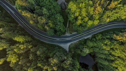 fot. Stefan Brajter / UMŁ