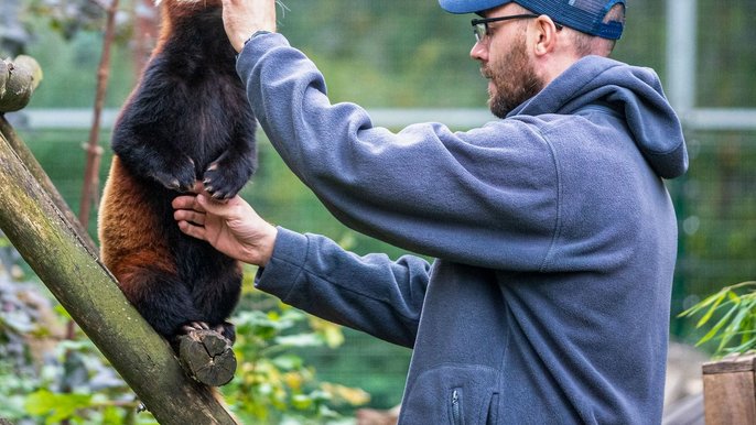 Międzynarodowy Dzień Opiekuna Zwierząt - fot. ŁÓDŹ.PL