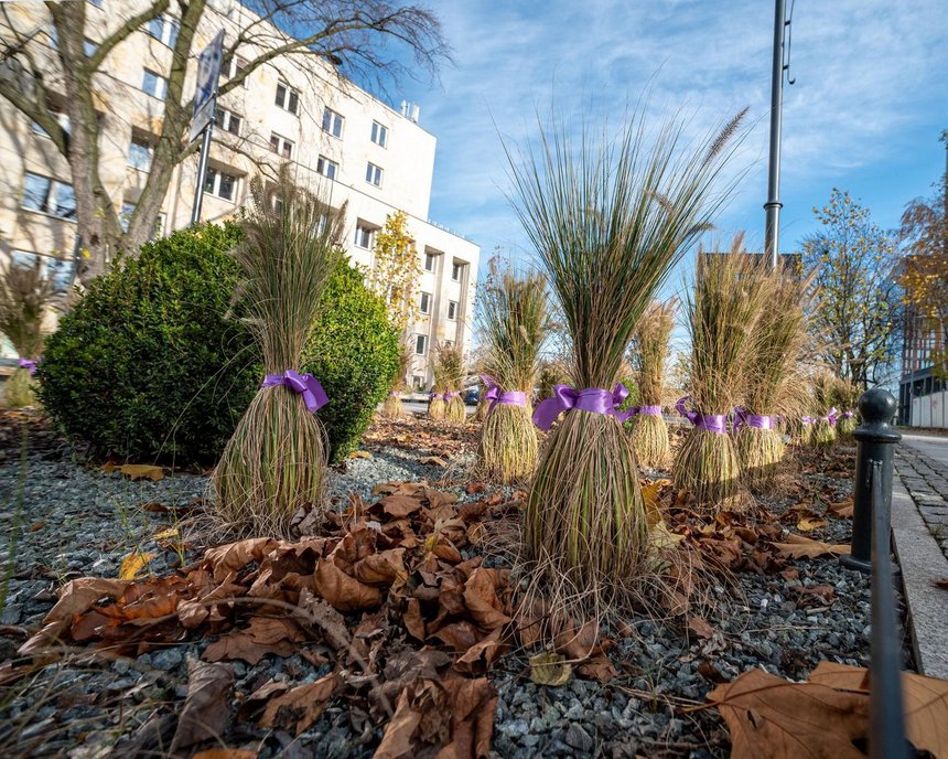 fot. Paweł Łacheta / UMŁ