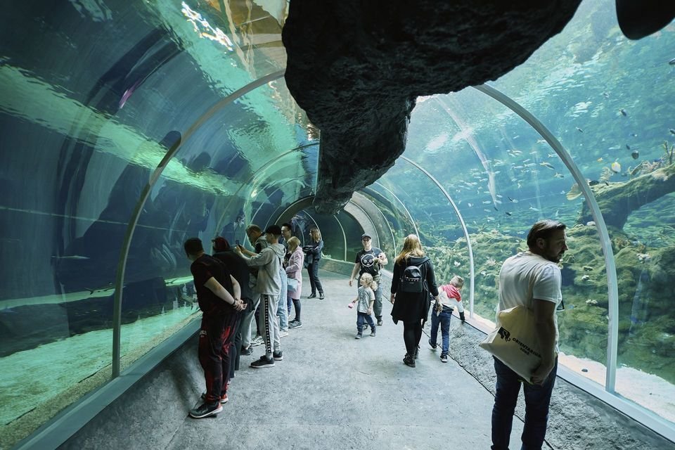 Орієнатріум в Лодзі, фото ŁÓDŹ.PL