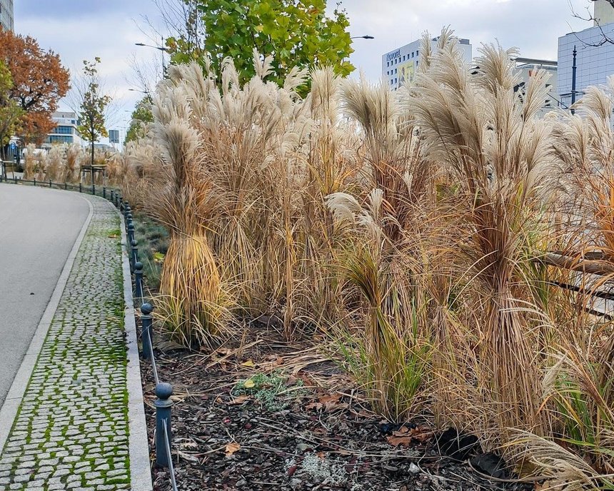 fot. Paweł Łacheta / UMŁ