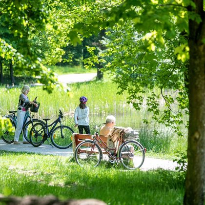 Лагевники – ідеальне місце для велосипеда, фото: ŁÓDŹ.PL