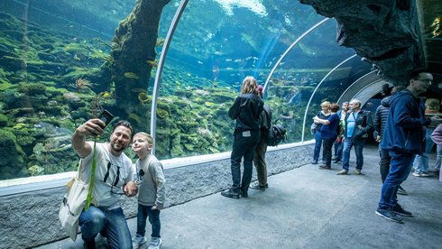 fot. Paweł Łacheta