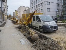 fot. Stefan Brajter / UMŁ