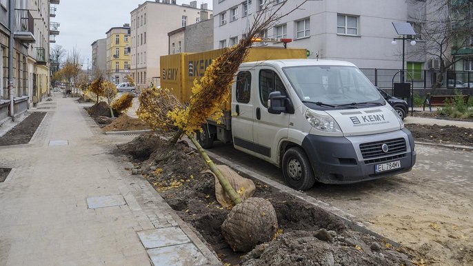 Szpaler drzew na całej długości ulicy będzie wizytówką najdłuższego woonerfu w Łodzi - fot. Stefan Brajter / UMŁ