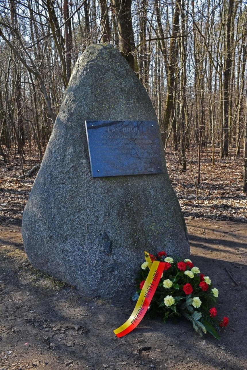 (Fot. Patryk Wacławiak)