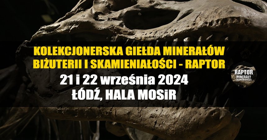 Kolekcjonerskie targi minerałów, biżuterii i skamieniałości w hali MOSiR na Skorupki