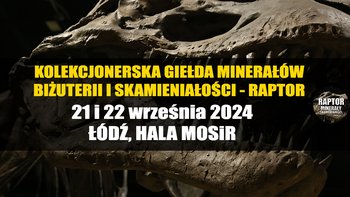  -  Kolekcjonerskie targi minerałów, biżuterii i skamieniałości w hali MOSiR na Skorupki