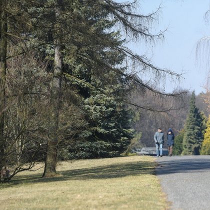 Ogród Botaniczny w Łodzi, fot. ŁÓDŹ.PL