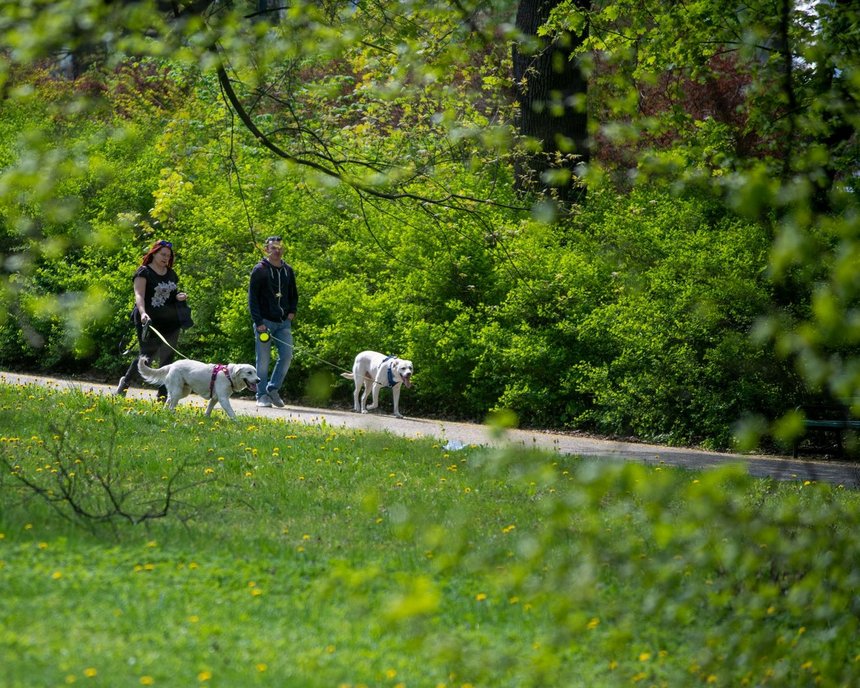 fot. Paweł Łacheta
