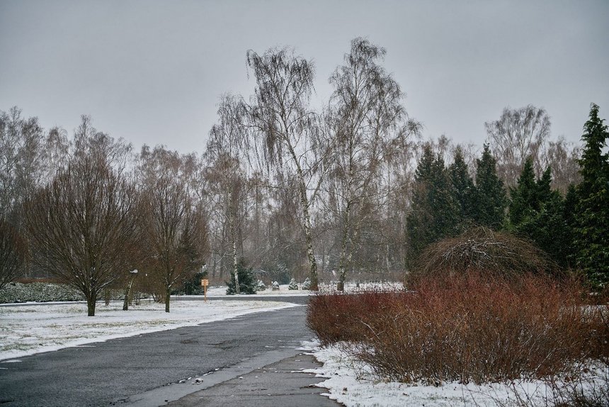 fot. Radosław Jóźwiak