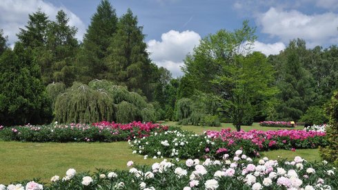 fot. Ogród Botaniczny