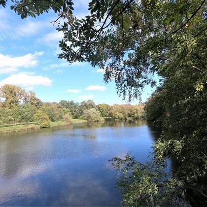 Park nad Jasieniem, mat. ZWiK