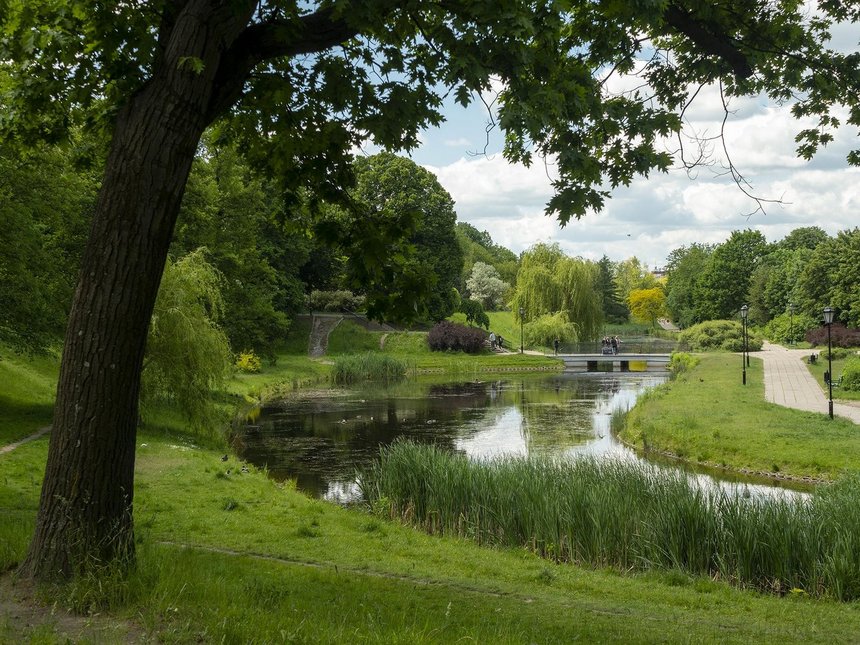 fot. Stefan Brajter / UMŁ