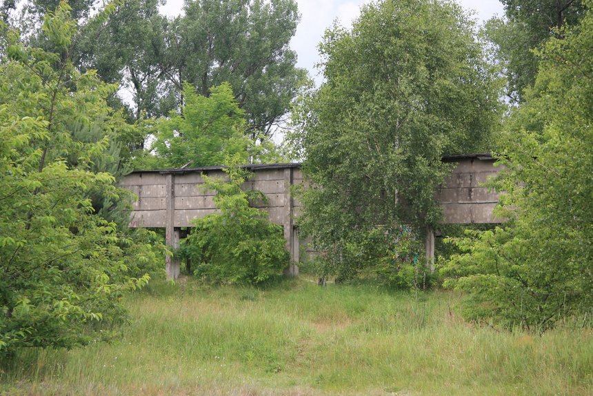 Spacer Zielonej Łodzi po Brusie