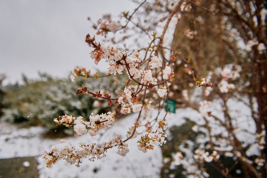 fot. Radosław Jóźwiak