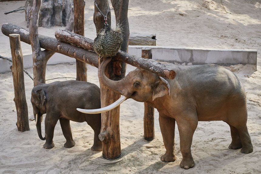 fot. Radosław Jóźwiak