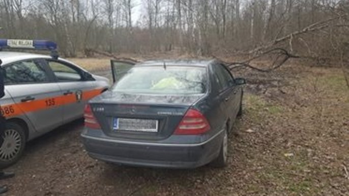 Ukarani za nieuprawniony wjazd do lasu 