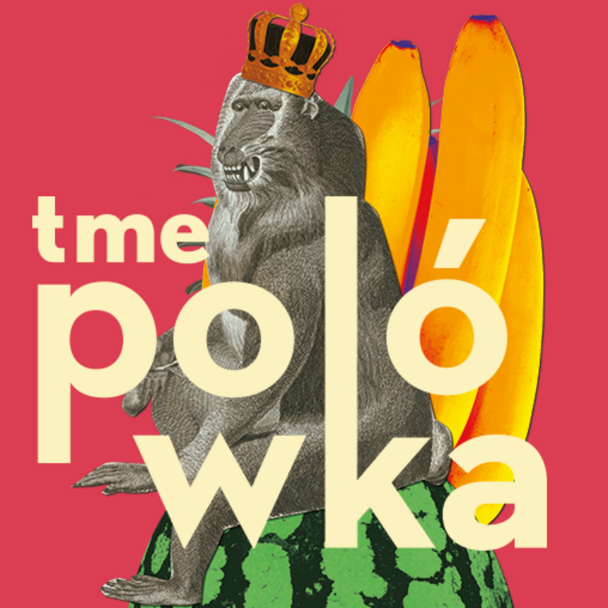 fot. mat. LFF Polówka