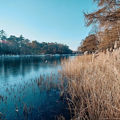 Las Łagiewnicki zimą, fot. ŁÓDŹ.PL