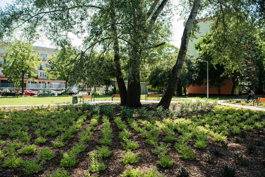 fot. Radosław Żydowicz / UMŁ